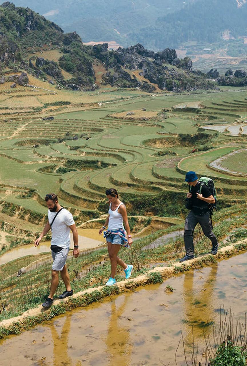 Three hikers walking along the edge of a rice field in the foreground of several terraced fields and mountains