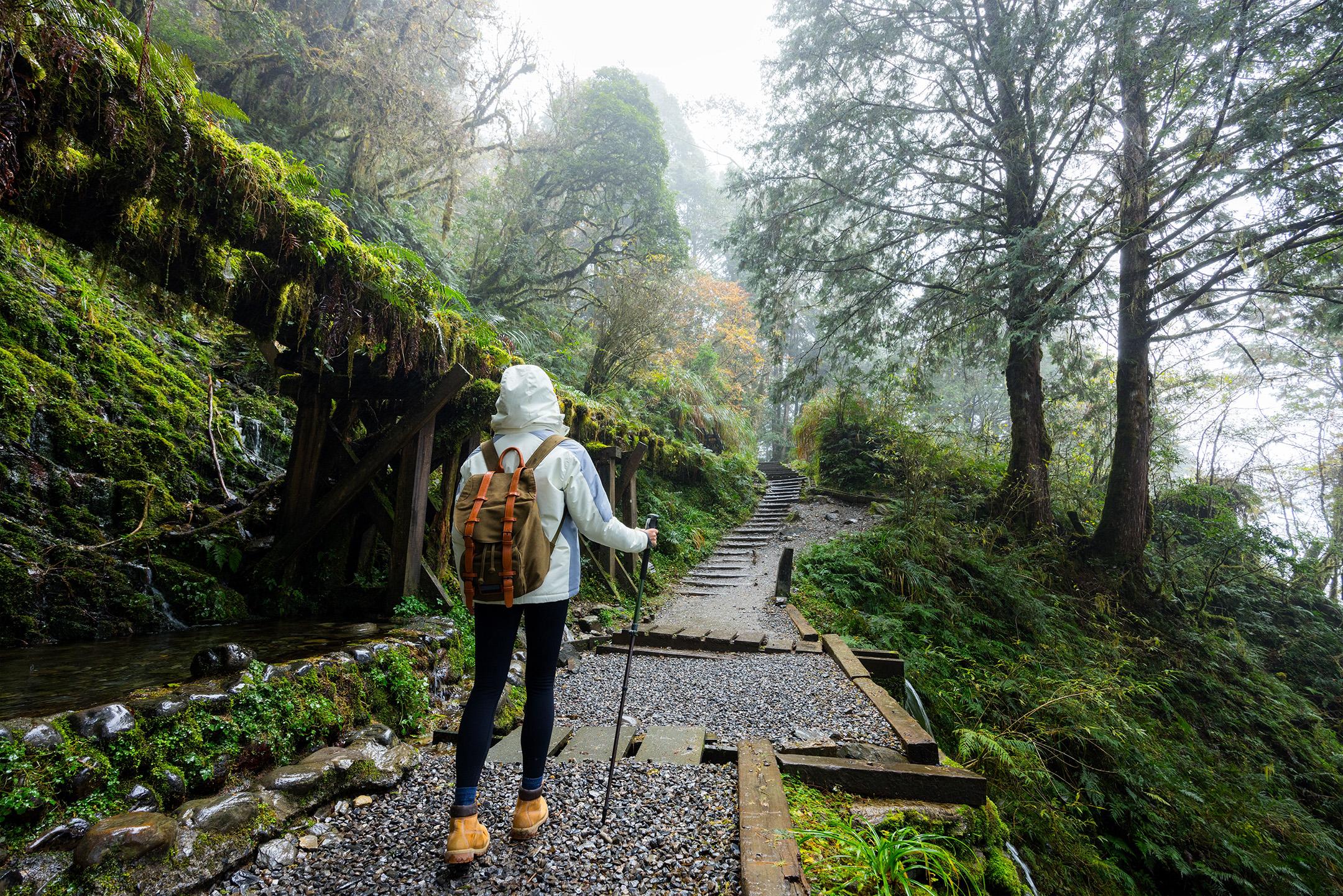 Hiker with their hood up walking along a gravel forest trail
