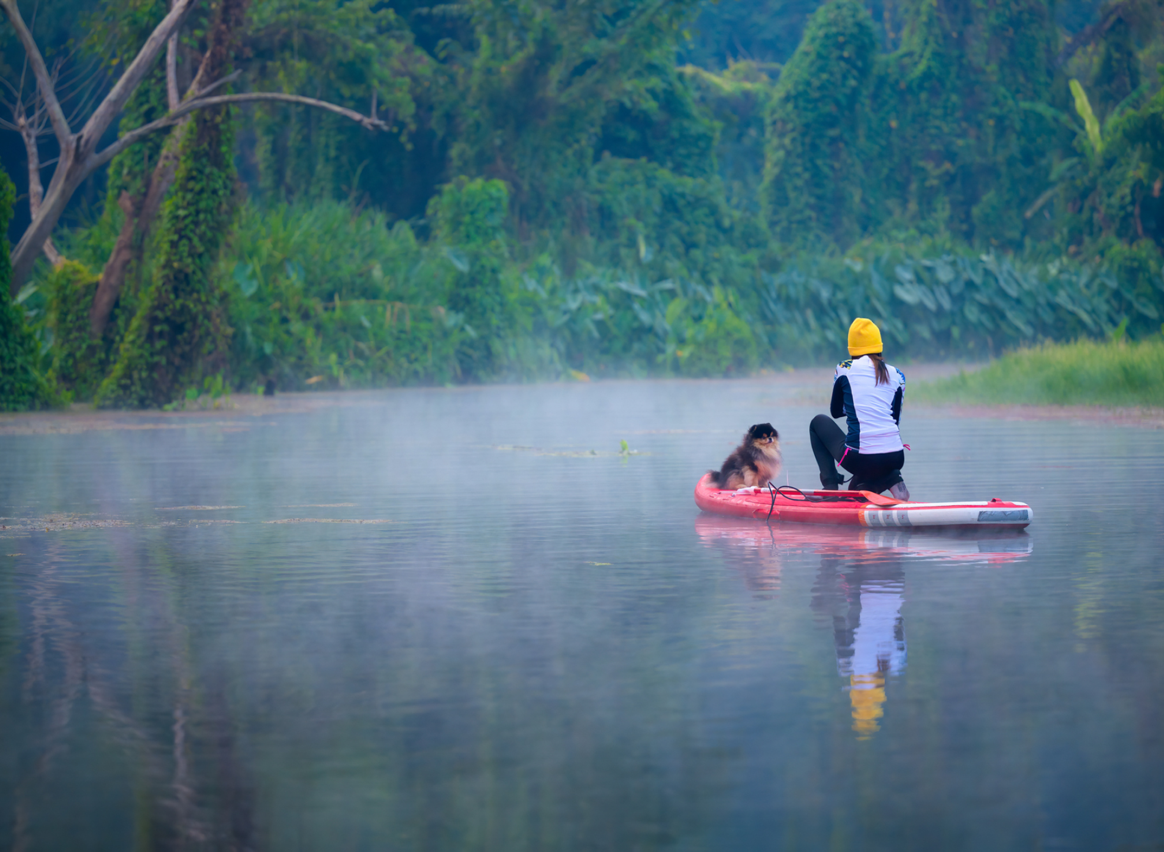 Woman sits on her paddle board with her dog in the middle of a lake in the jungle