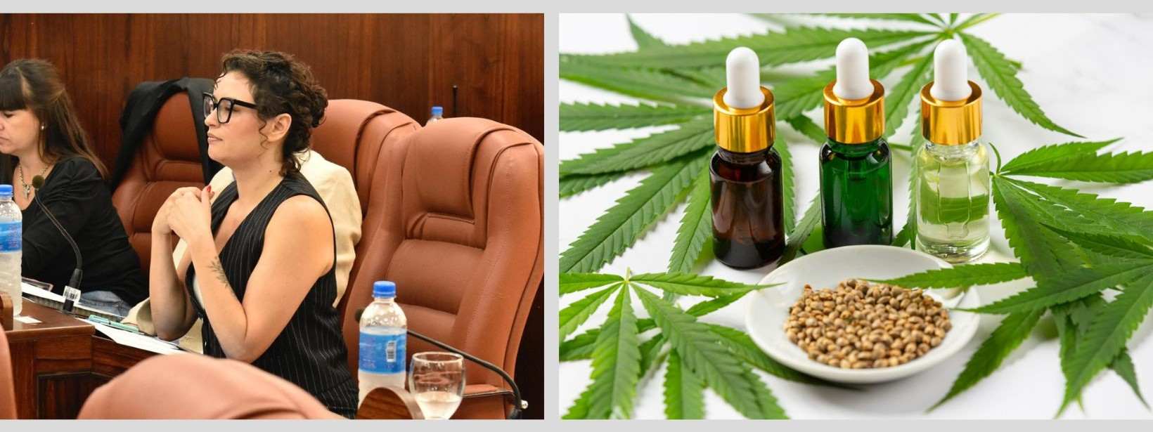 Creación de dispensarios de cannabis medicinal en San Martín