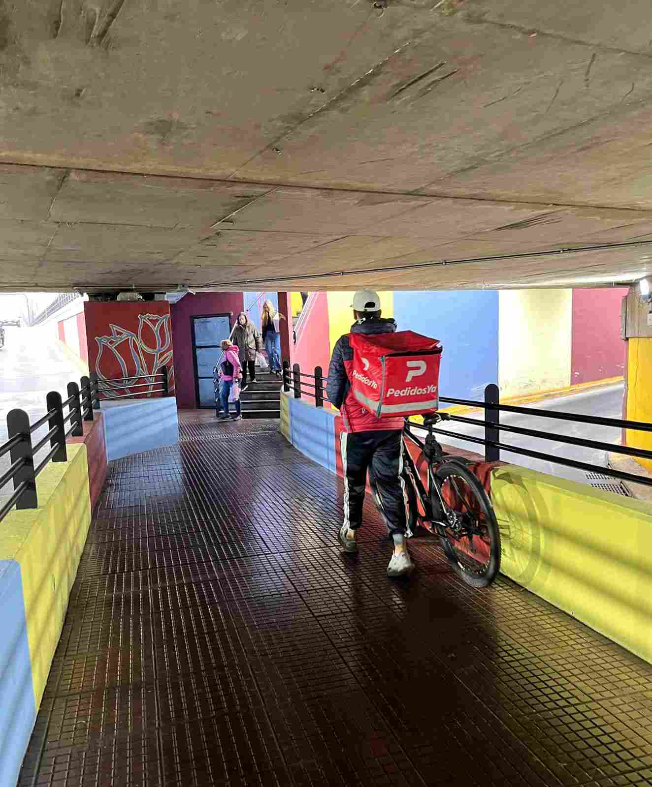 Paso peatonal de VB