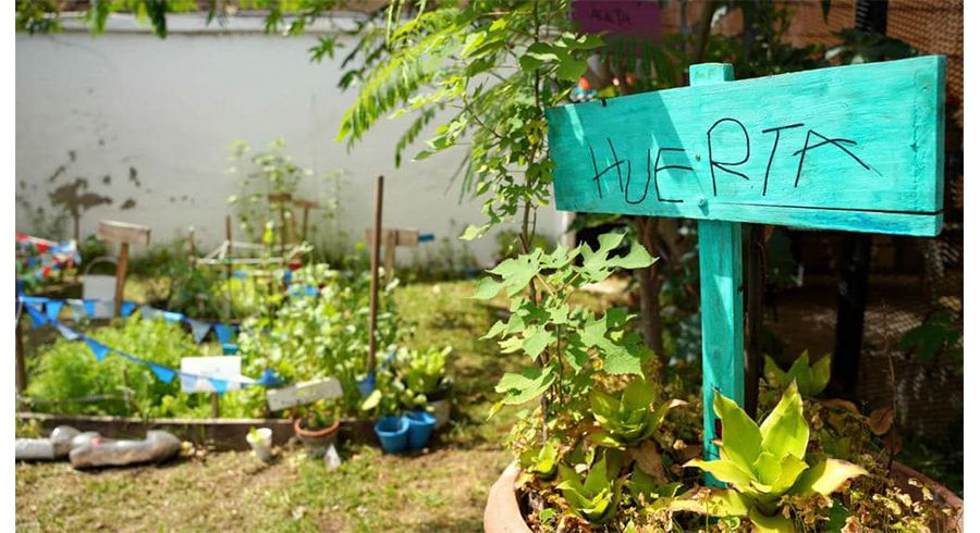 Más escuelas se suman al programa “Semillero Huerta Escolar”