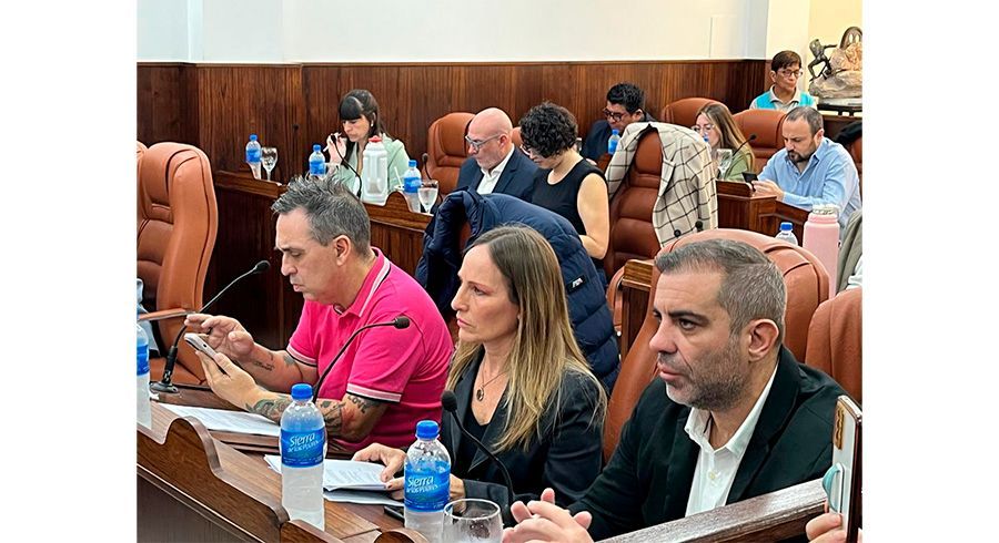 Los tres concejales de La Libertad Avanza formaron bloques por separado