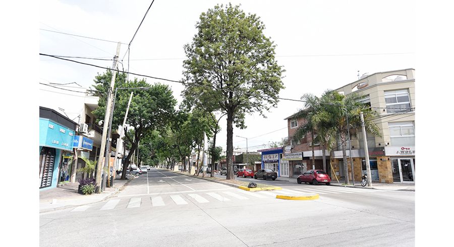 Avanza la renovación integral de la Av. 25 de Mayo