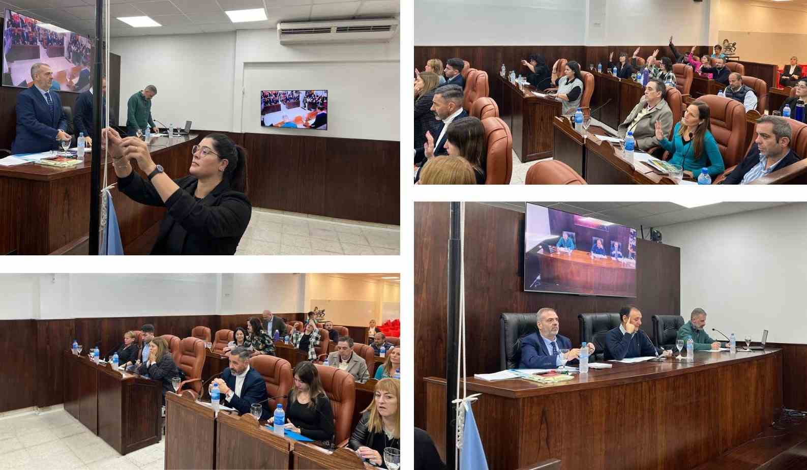 El Concejo Deliberante autorizó al Ejecutivo a celebrar contratos con Provincia Leasing S.A.