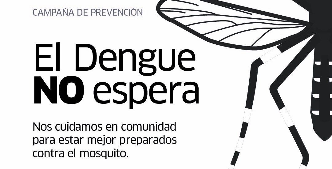 Campaña de prevención contra el Dengue en San Martín