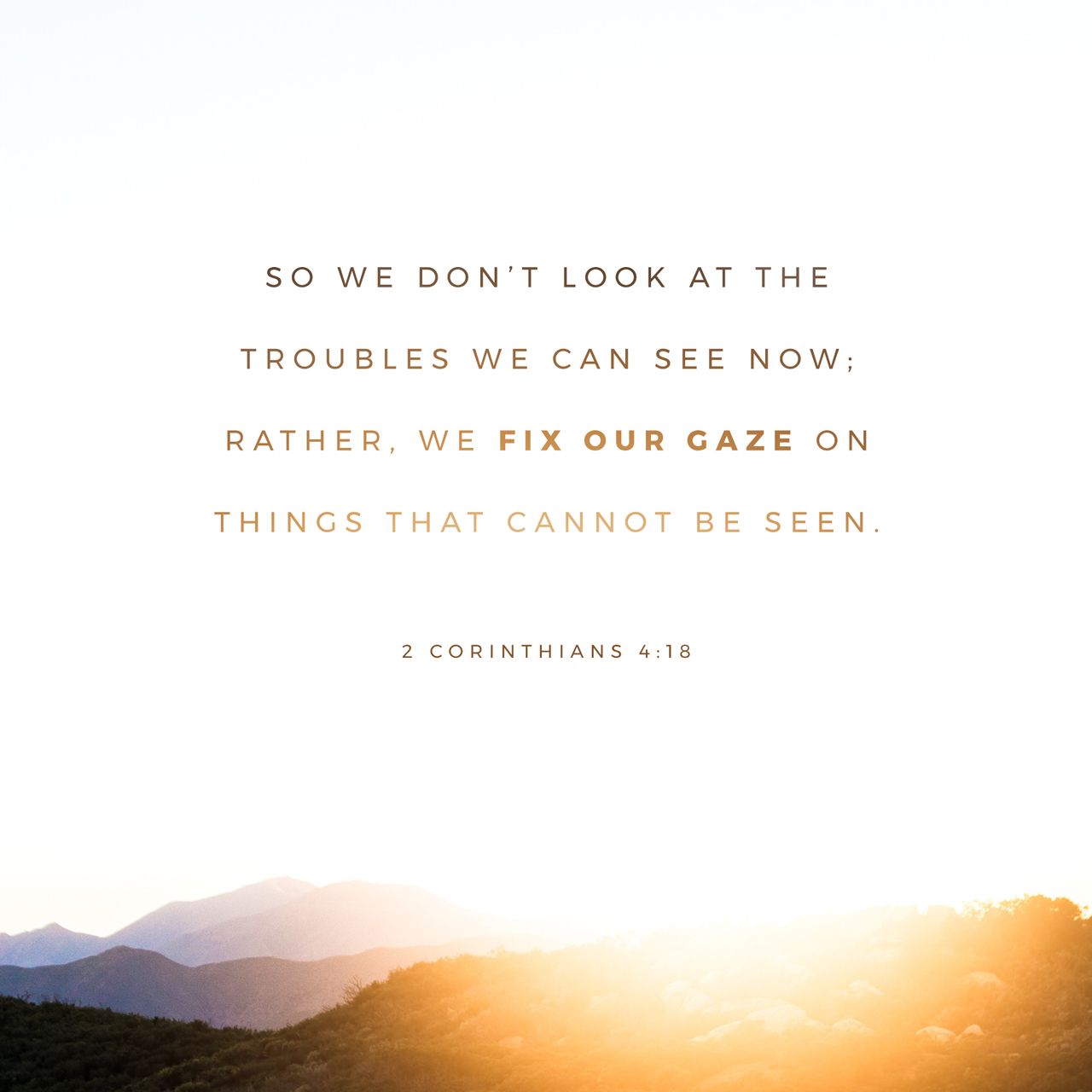 Seeing Is Deceiving