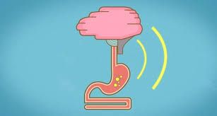 Best of Friends: The Gut &amp; Brain