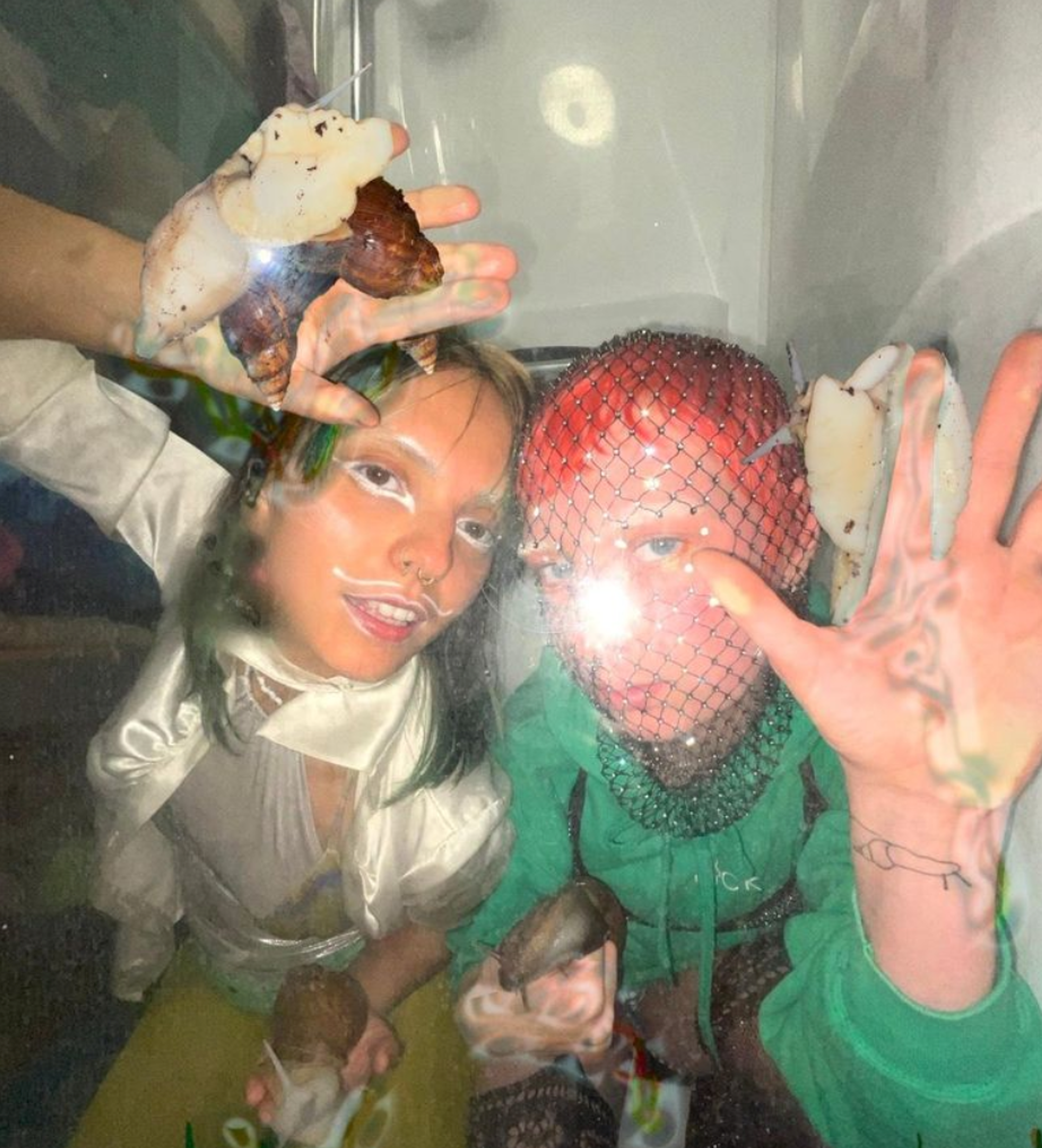 WHOLE Festival © 2026