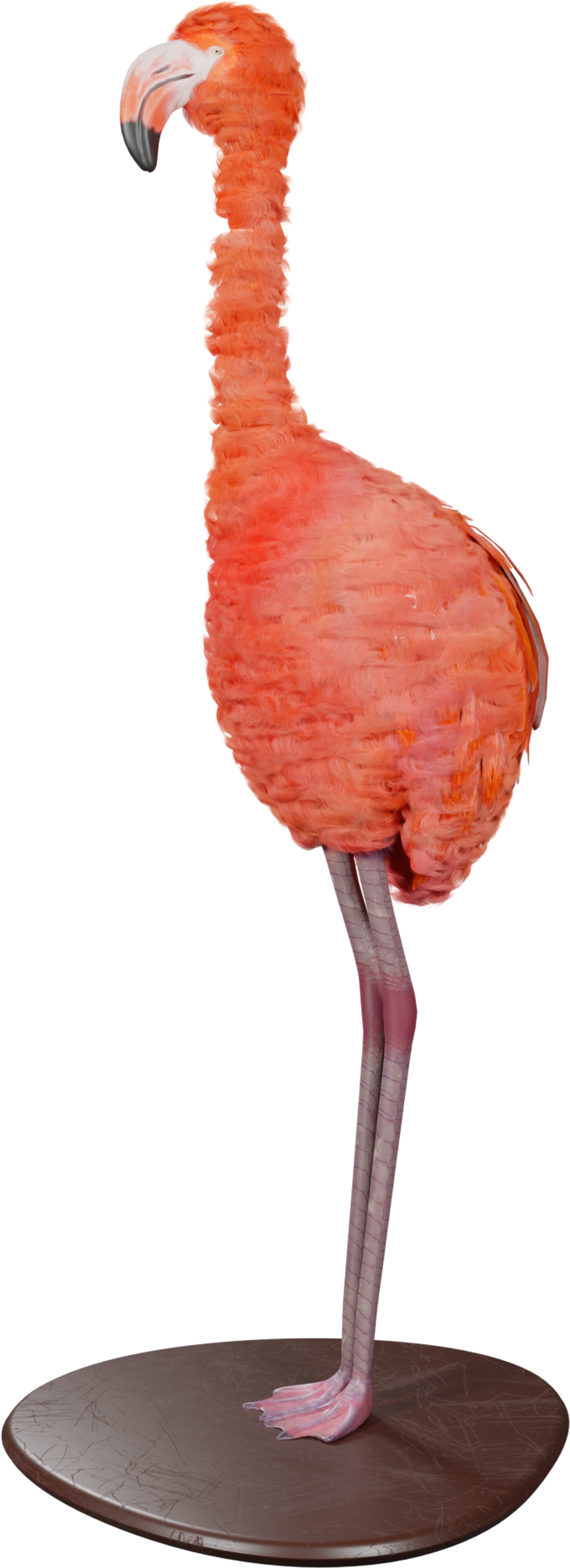 WHOLE Festival © 2026