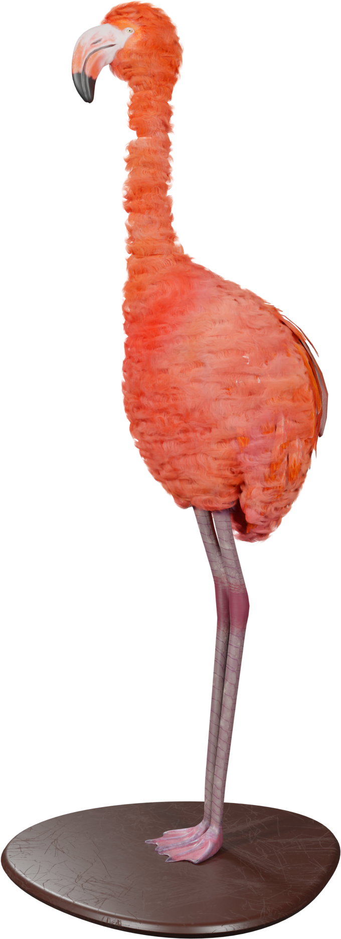 WHOLE Festival © 2026