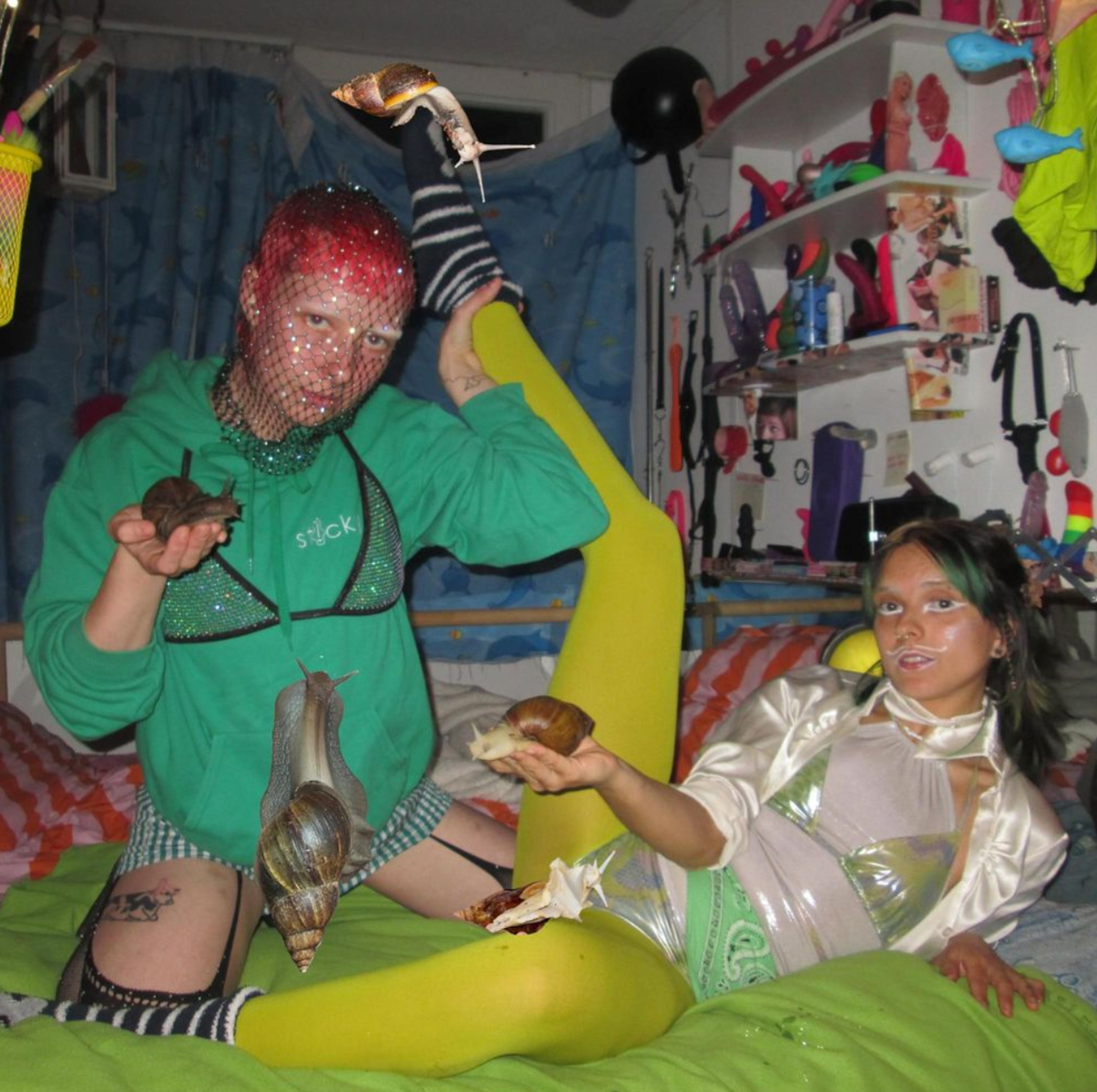 WHOLE Festival © 2026