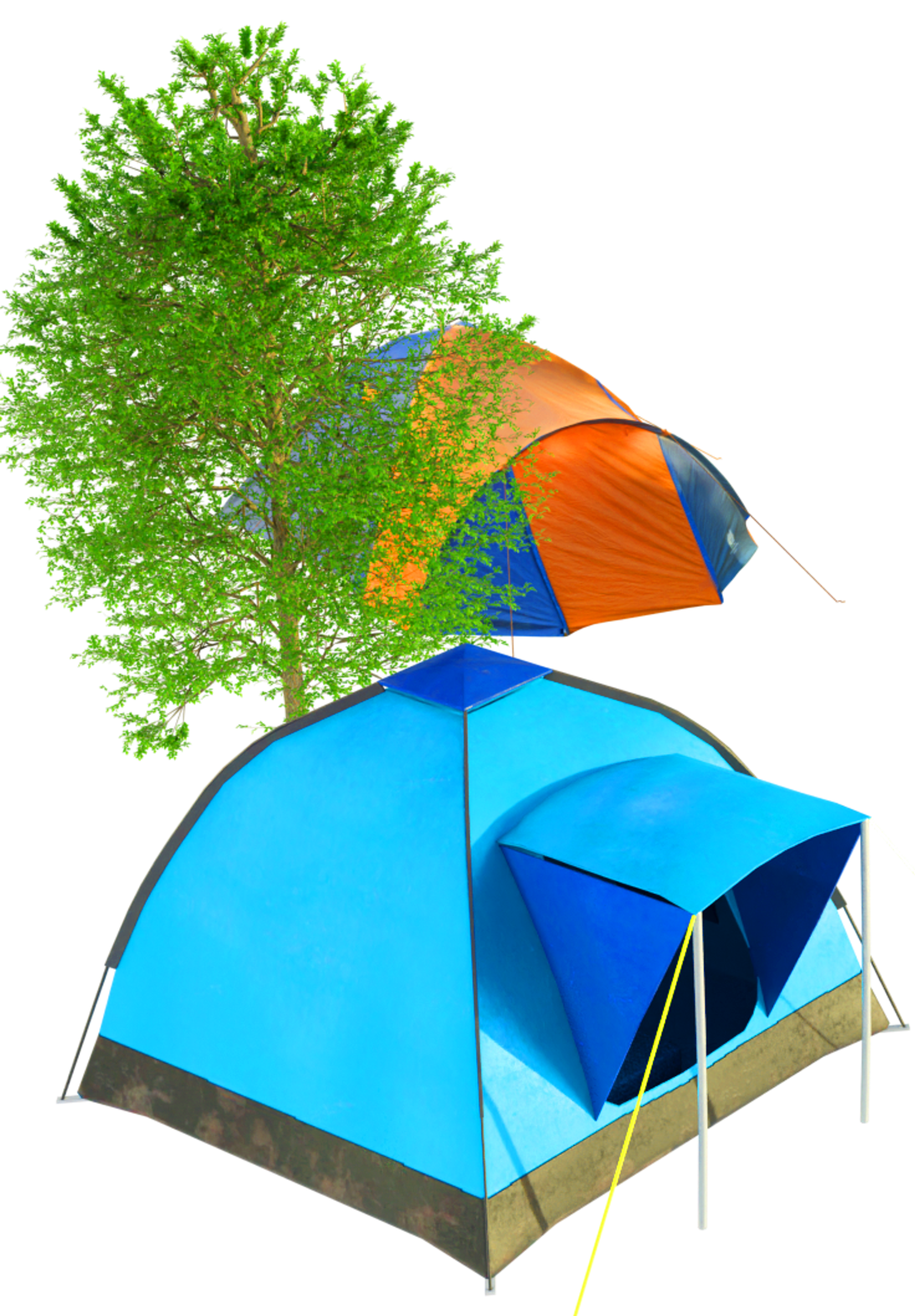 WHOLE Festival © 2026