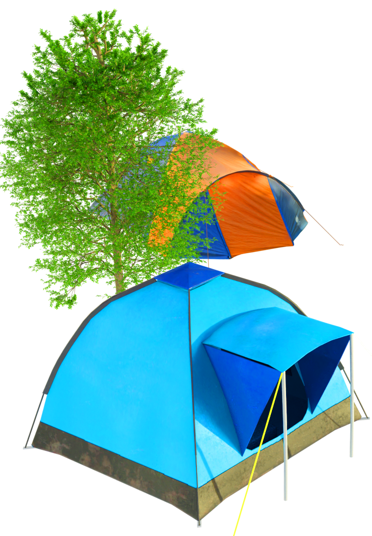 WHOLE Festival © 2026