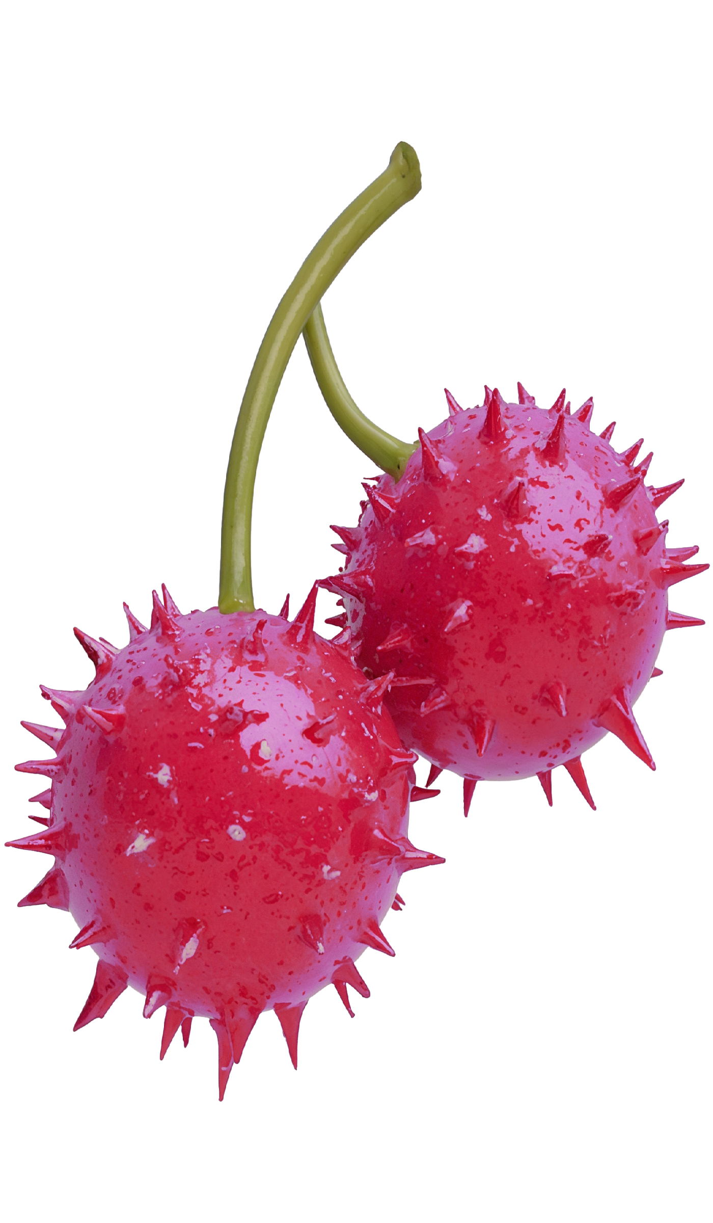 WHOLE Festival © 2026