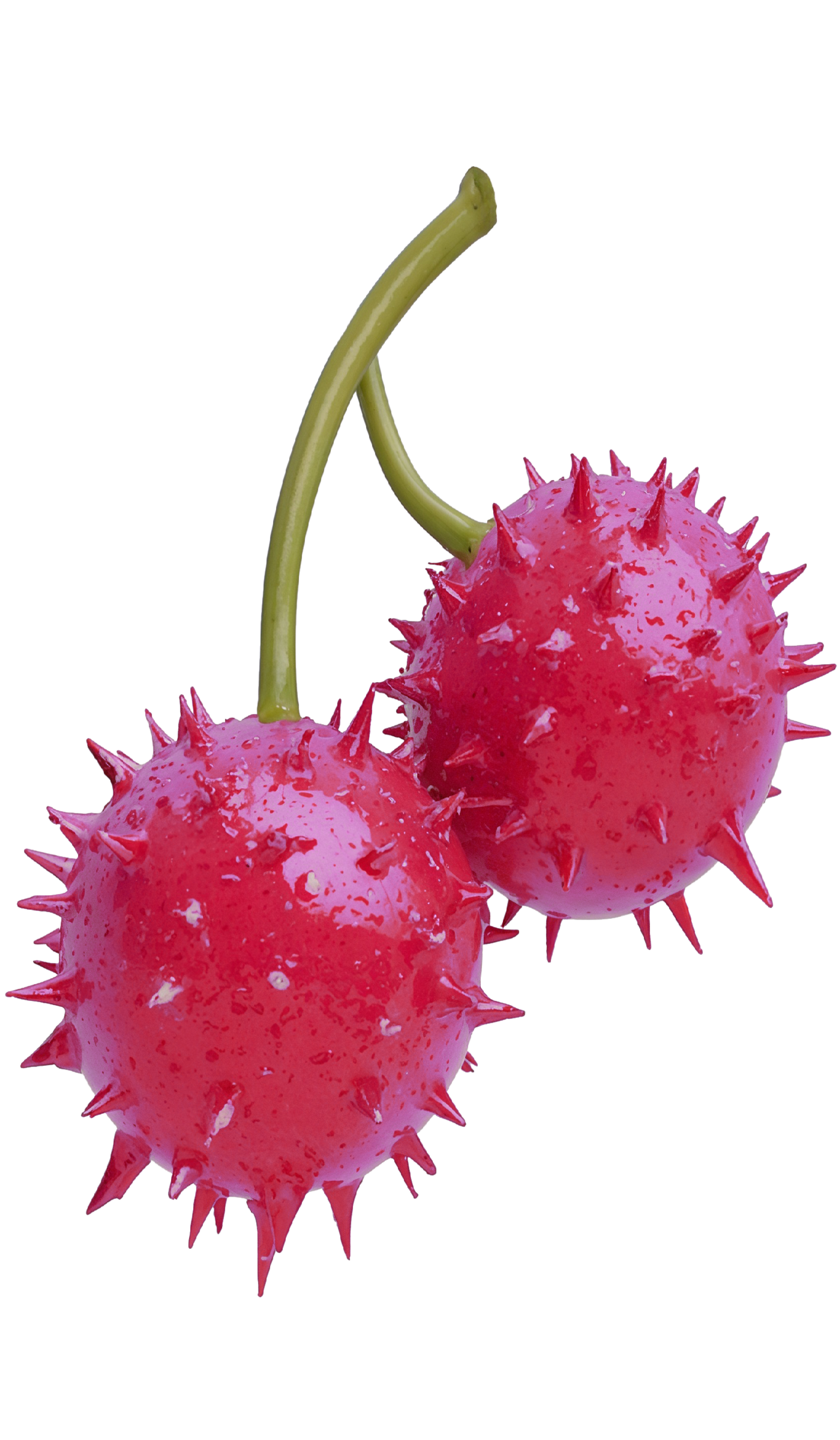 WHOLE Festival © 2026