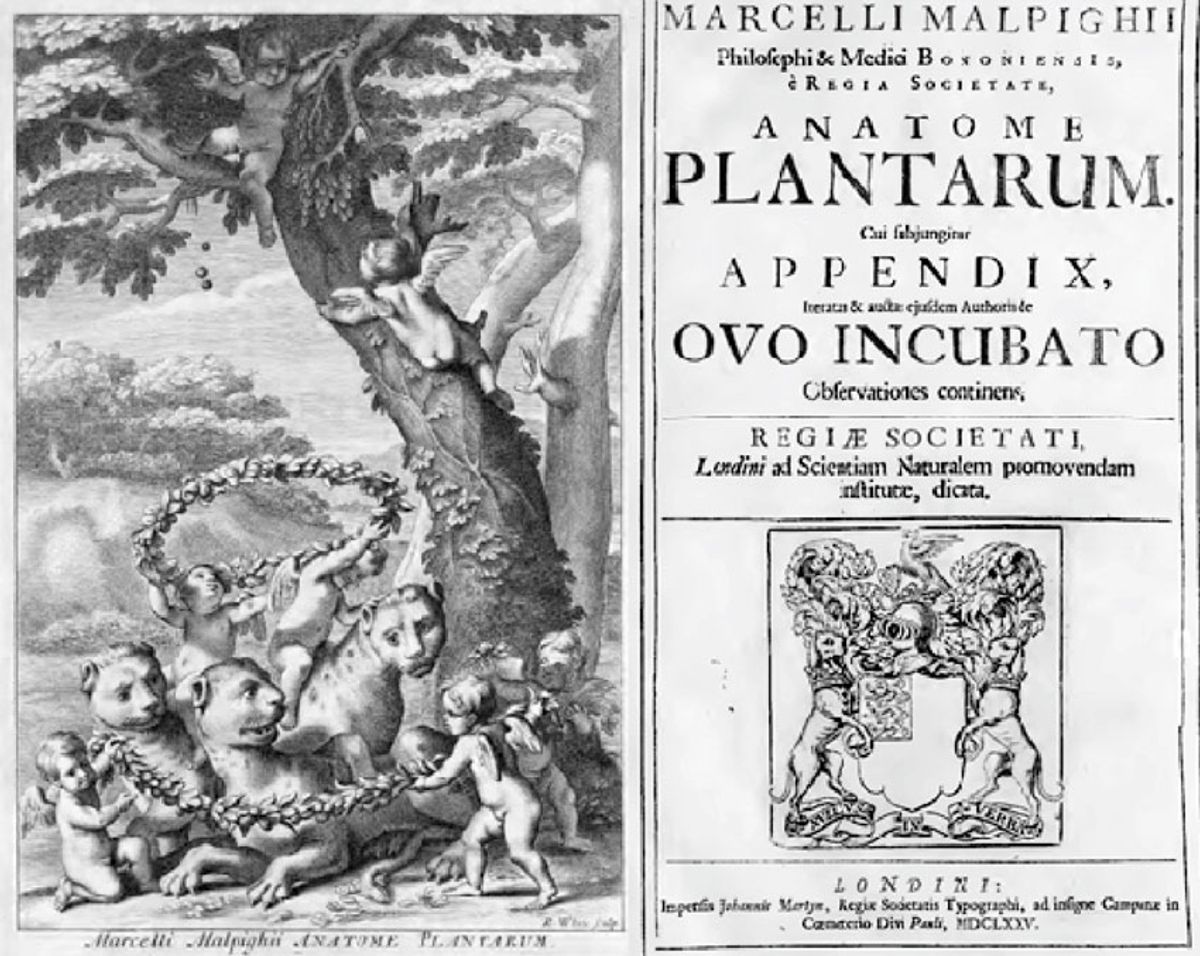 Title page of Anatome Plantarum (1675) written by Marcello Malpighi.