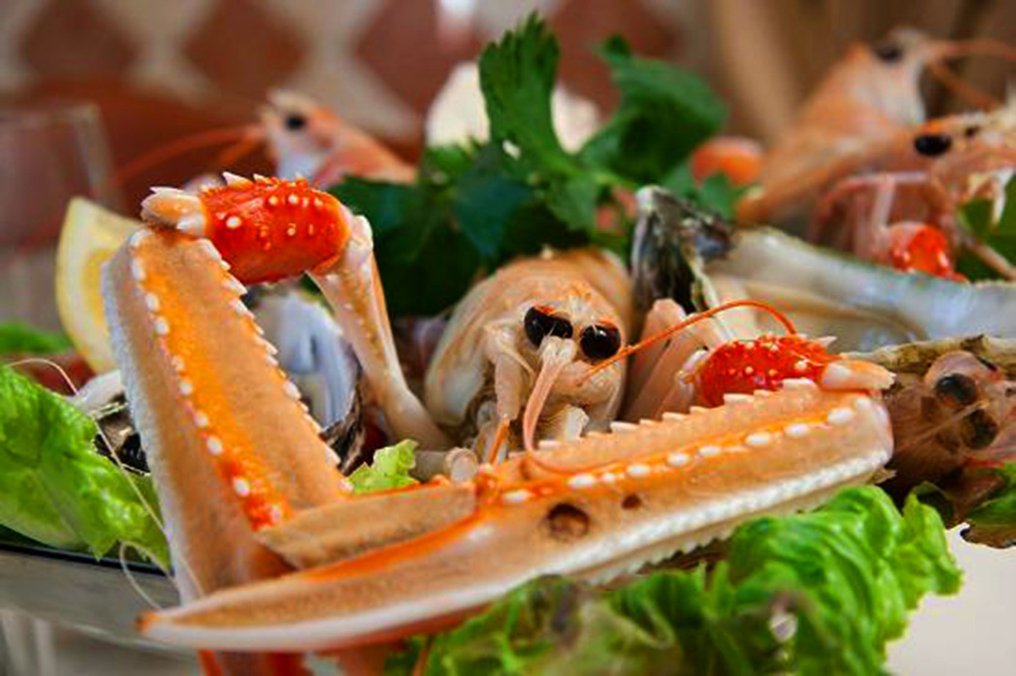 Seafood was a rare and expensive delicacy in the Renaissance.  