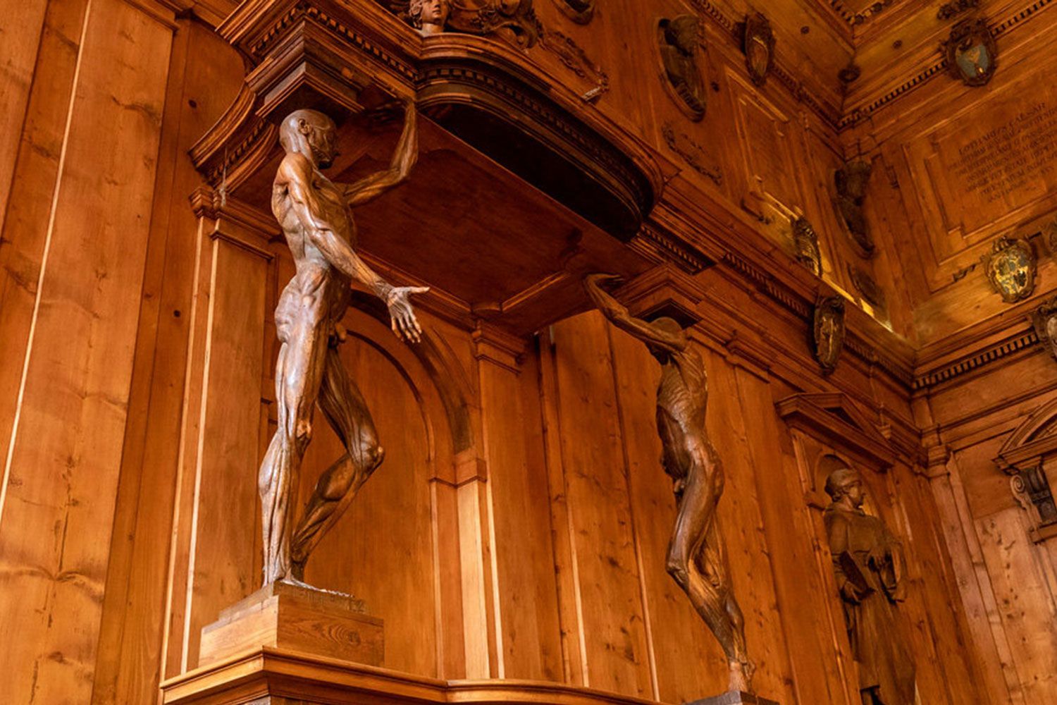 Carved wooden anatomical human figures from the 16th century in the Anatomy Room