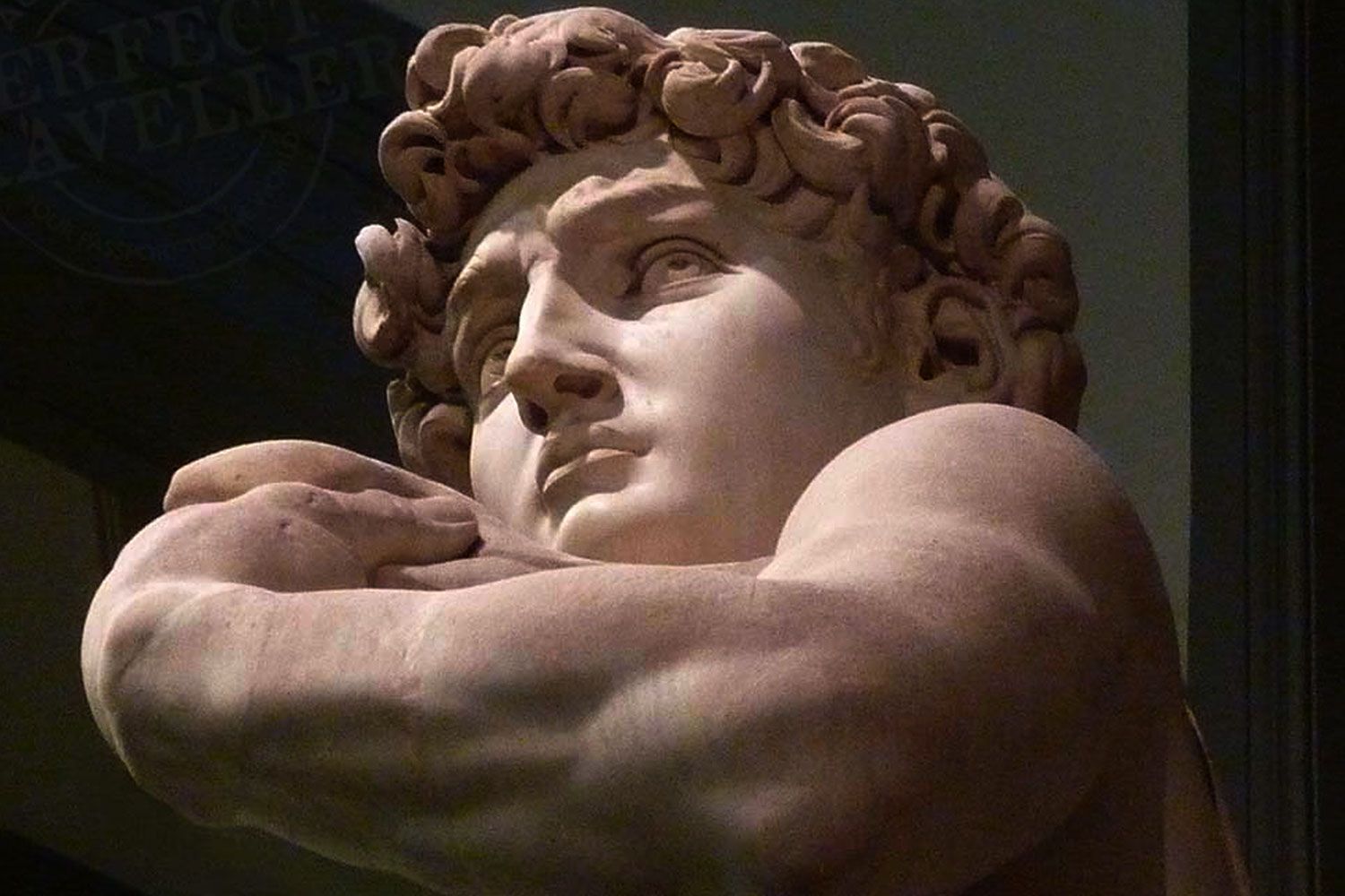 David by Michelangelo in the Accademia in Florence.