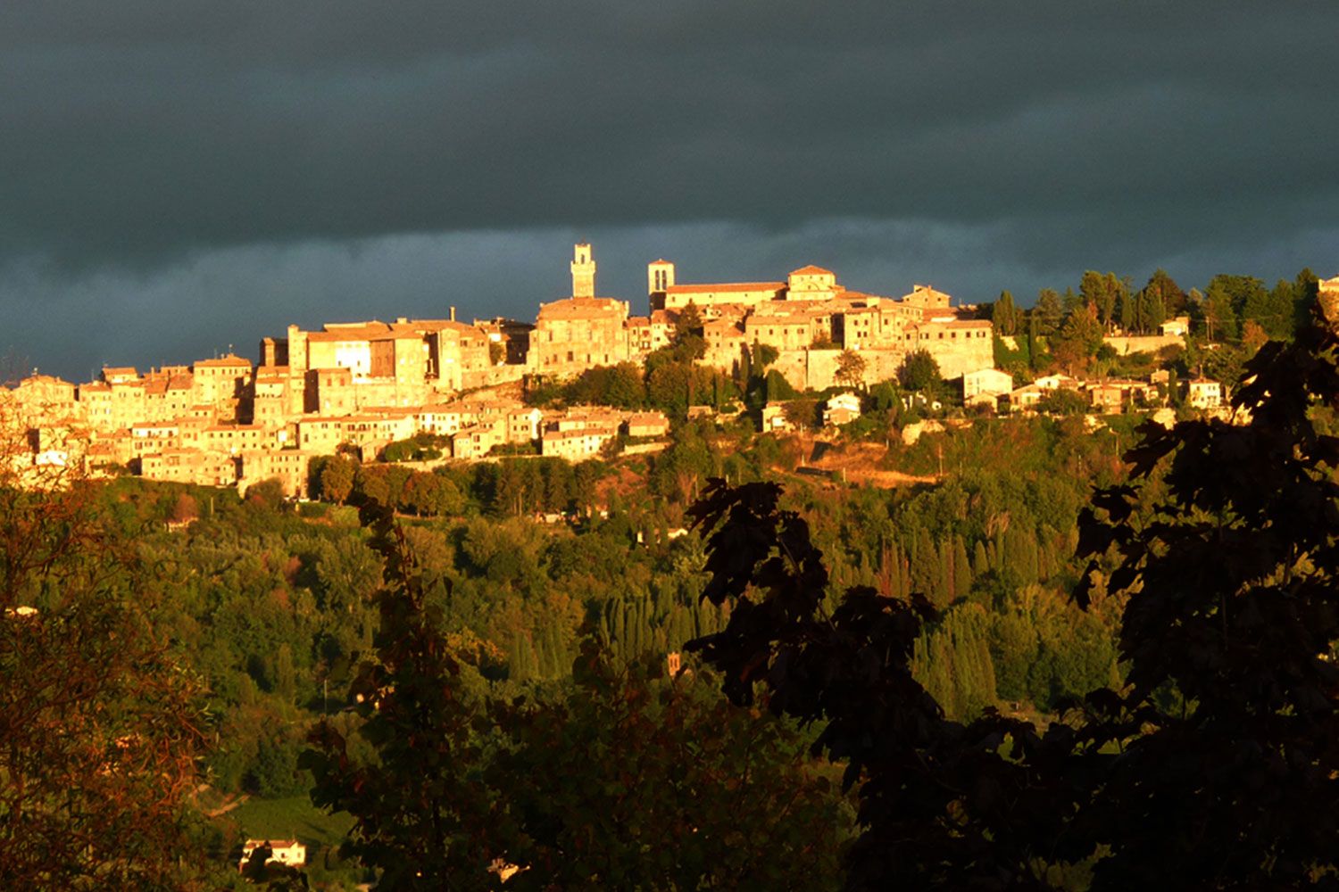 Montepulciano perched on its hill.