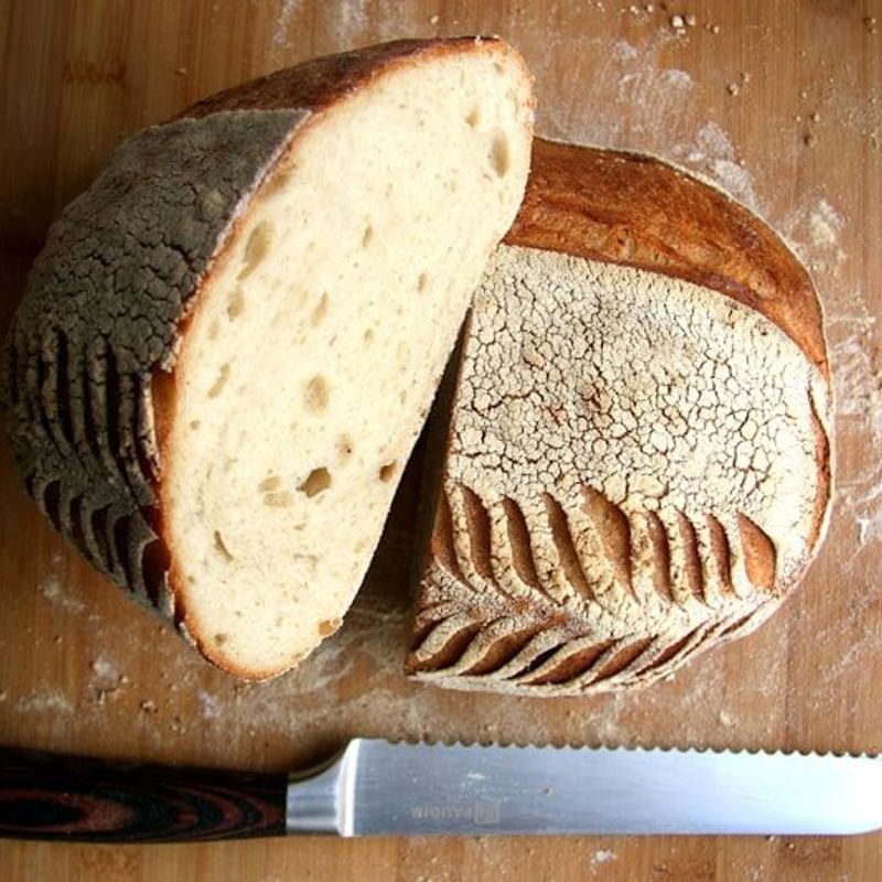 Hlebovi