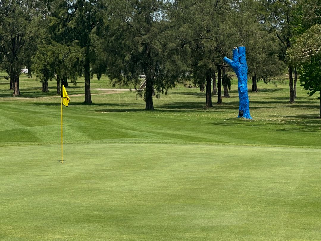 blue tree at Richmond GC