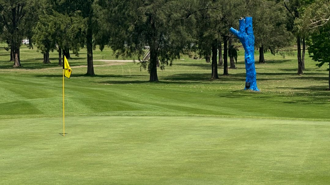 blue tree at Richmond GC