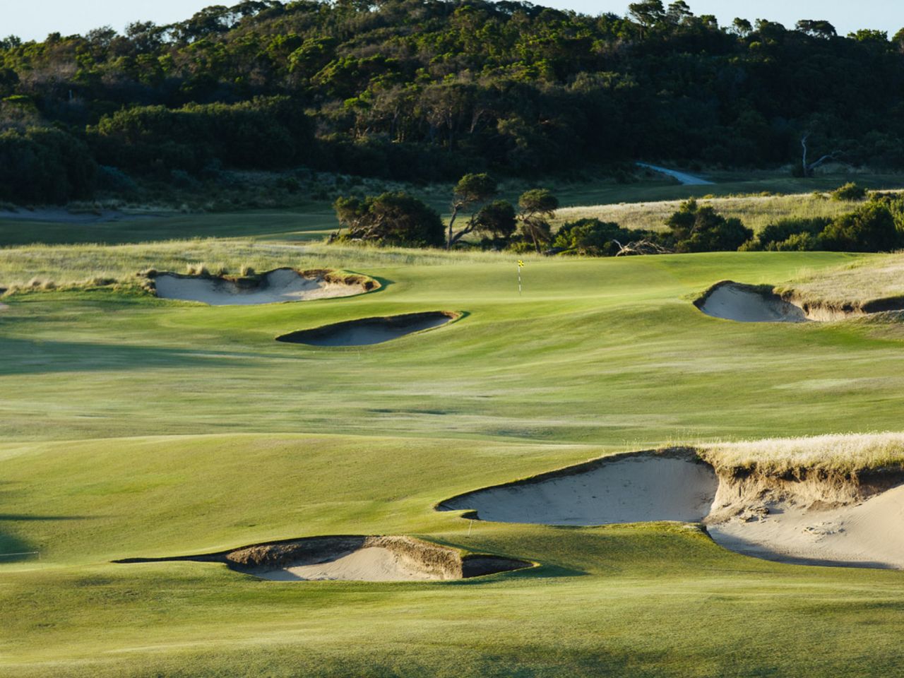 DP World Tour Championship logo