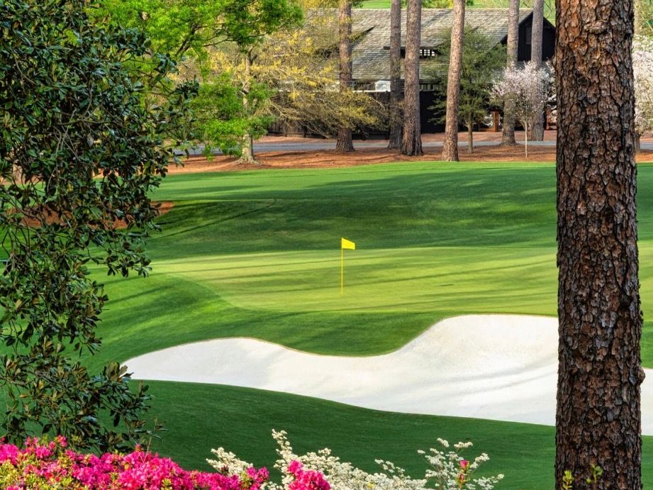 Whats on This Week - Week 15