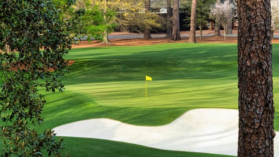 Whats on This Week - Week 15