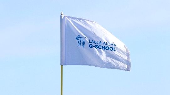 LET Q School flag