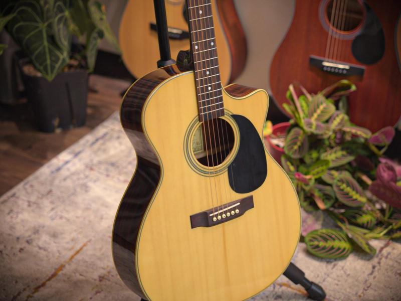 Recording King RGA-04CG