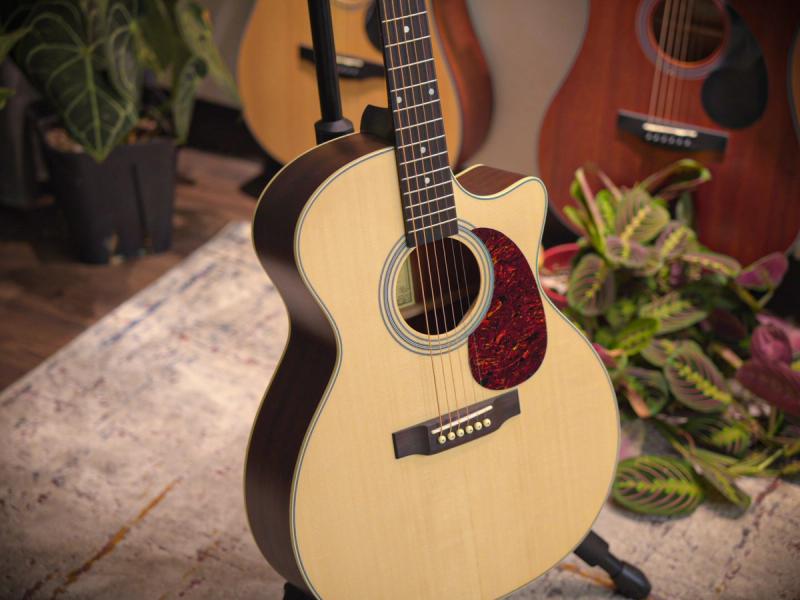 Recording King RGA-04C