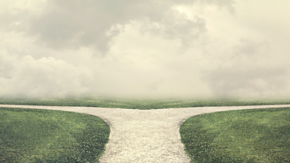 Marketer reflecting on their unconventional career path
