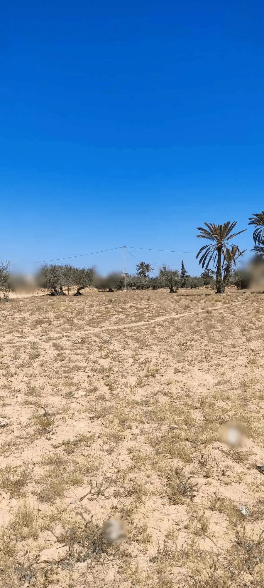 أرض تيتر ورخصة قرب طريق حومة السوق - ميدون