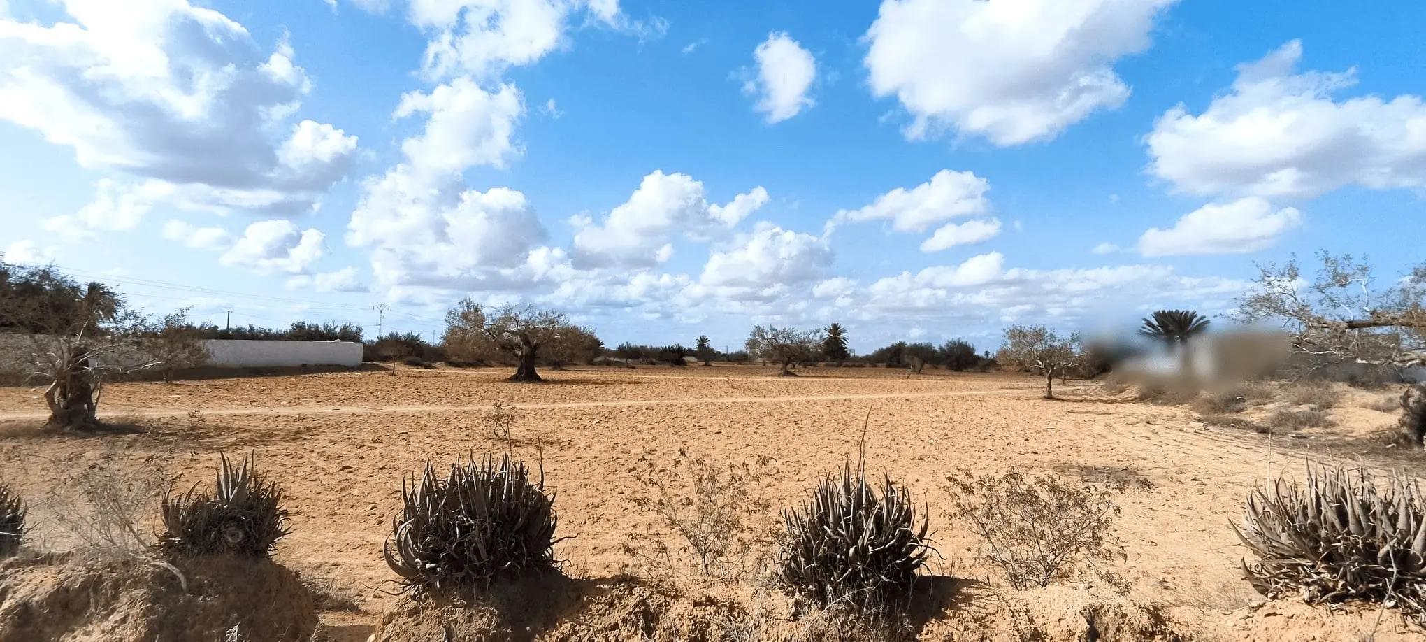 أرض تيتري للبيع طريق صدغيان - الماي