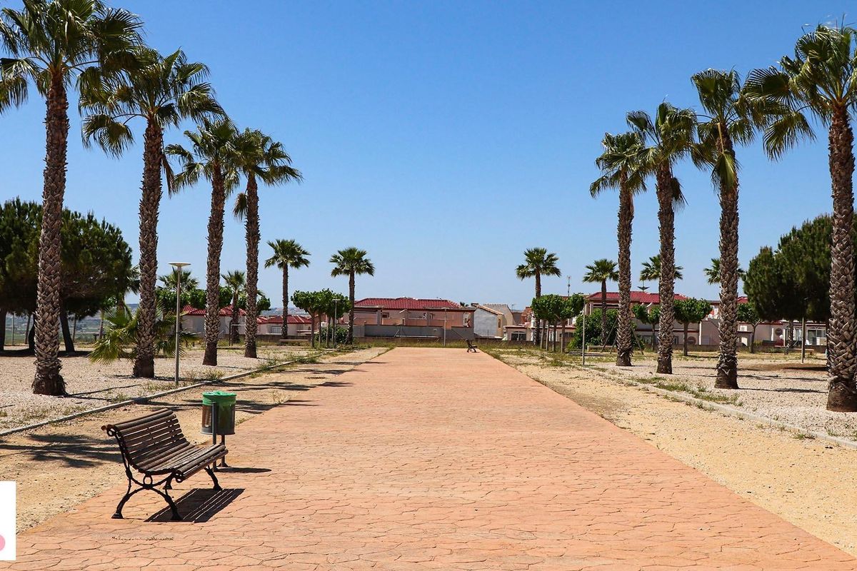 Wandelpad omringd door palmbomen in San Fulgencio, dat een schilderachtige route door het gebied biedt.