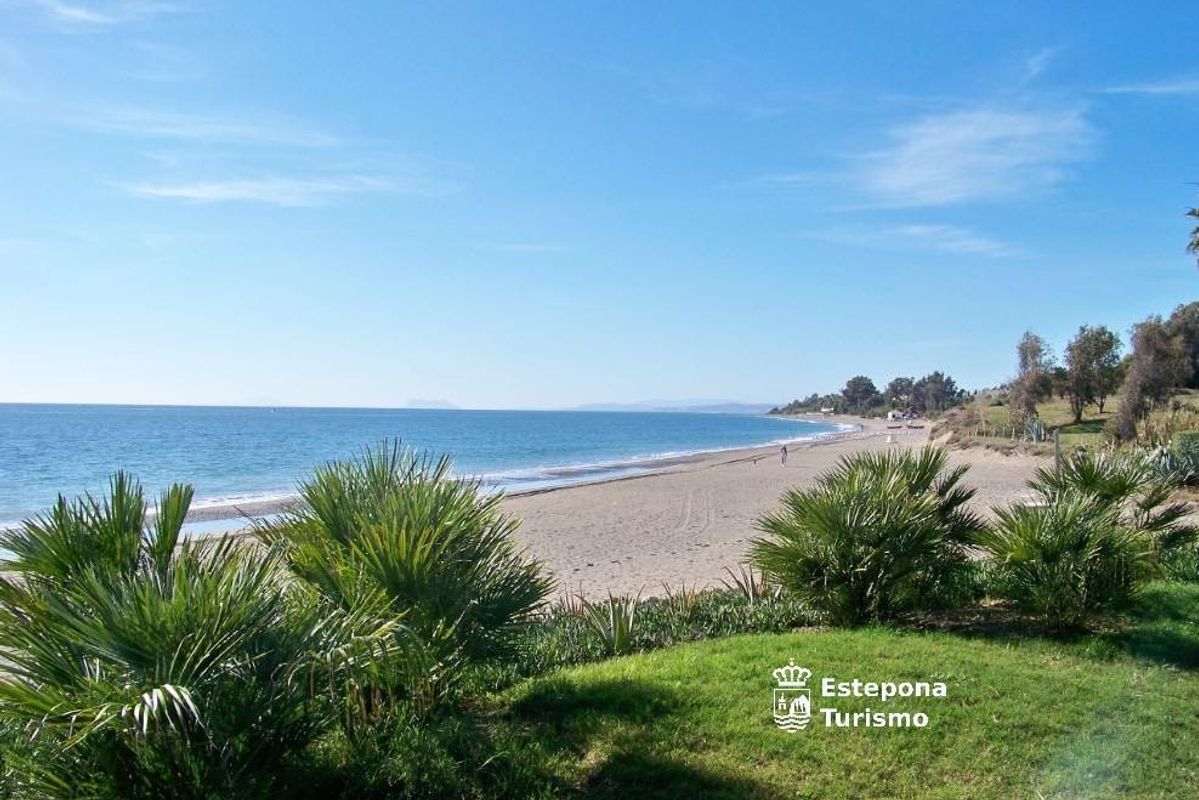 Schilderachtig uitzicht op het strand in Estepona met gouden zand en palmbomen langs de kust.
