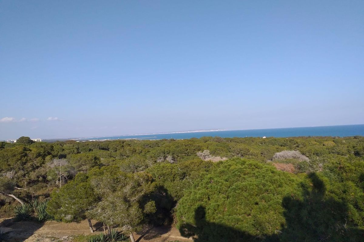 Panoramisch uitzicht vanuit het pand op weelderig groen en de kust nabij Guardamar del Segura, Spanje.