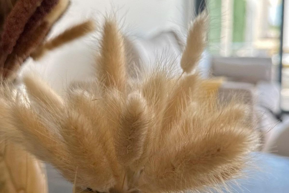 Close-up van decoratieve gedroogde bloemen in een vaas binnen het stijlvolle appartement in San Fulgencio.