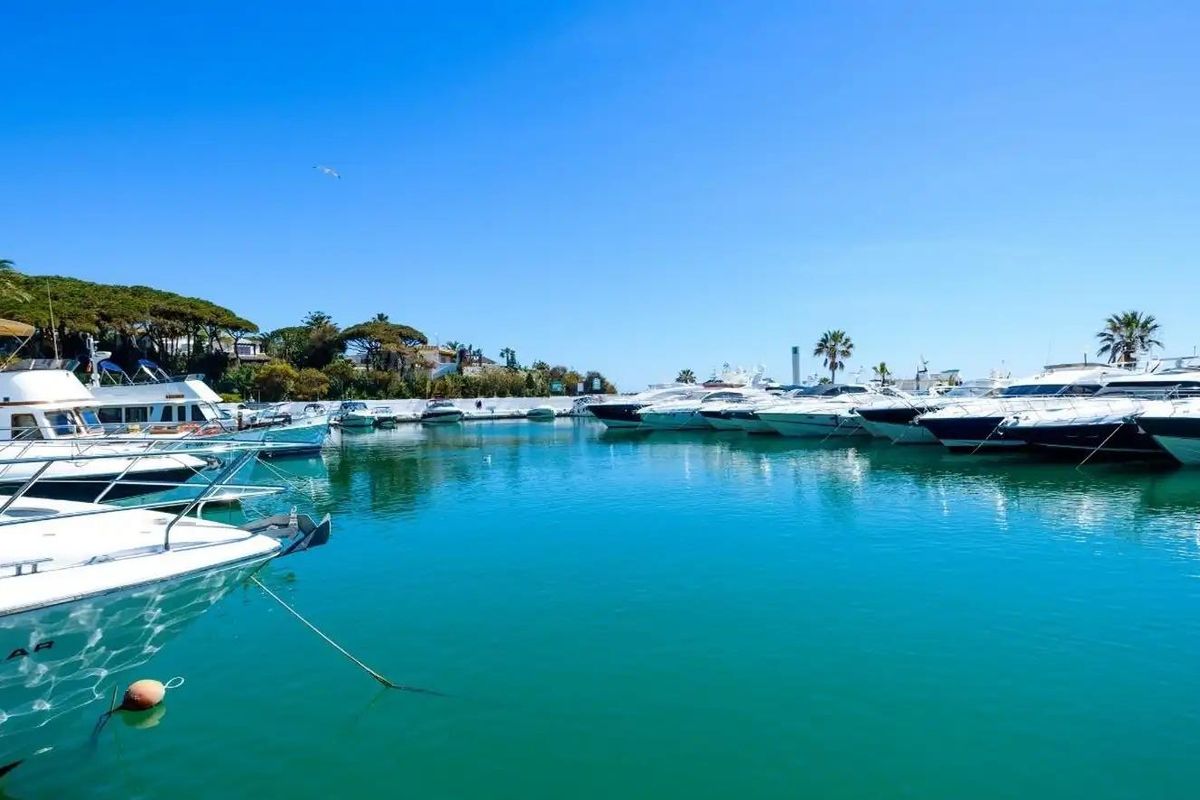 Een jachthaven in Marbella vol jachten, palmbomen en helderblauw water op een zonnige dag.