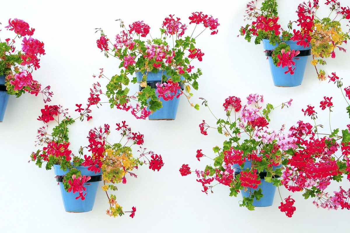 Kleurige bloempotten die een muur sieren, die charme toevoegen aan de omgeving nabij Mijas, Costa del Sol.