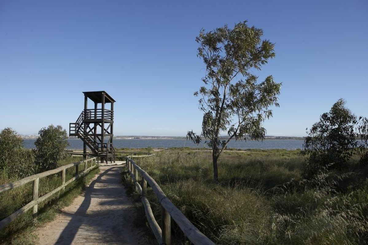 Schilderachtig uitzicht op een houten uitkijktoren bij het water, omgeven door natuur nabij Torrevieja.