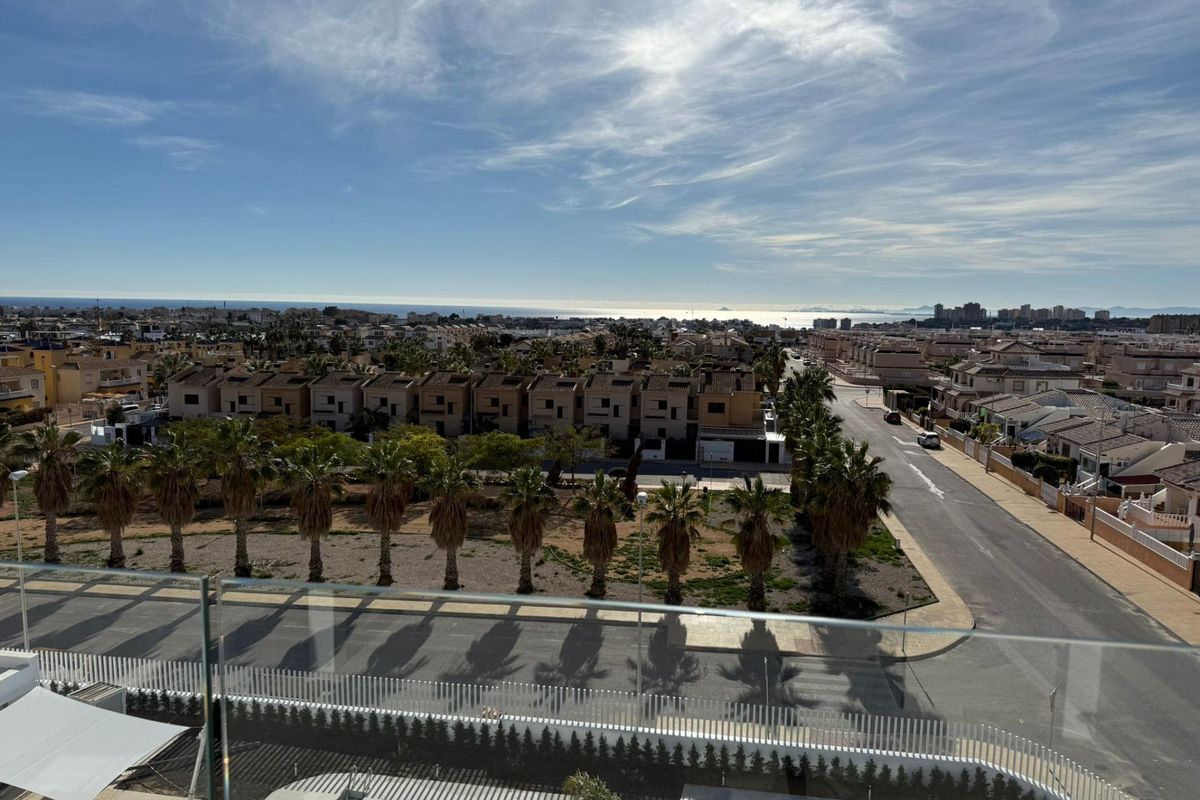 Schilderachtig uitzicht vanuit het appartement met palmbomen en horizon in Orihuela Costa, Costa Blanca Zuid.