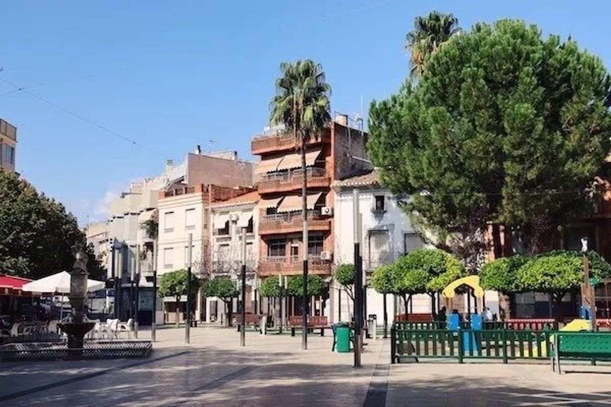 Levendig plein in Calasparra, met palmboom en lokale architectuur.