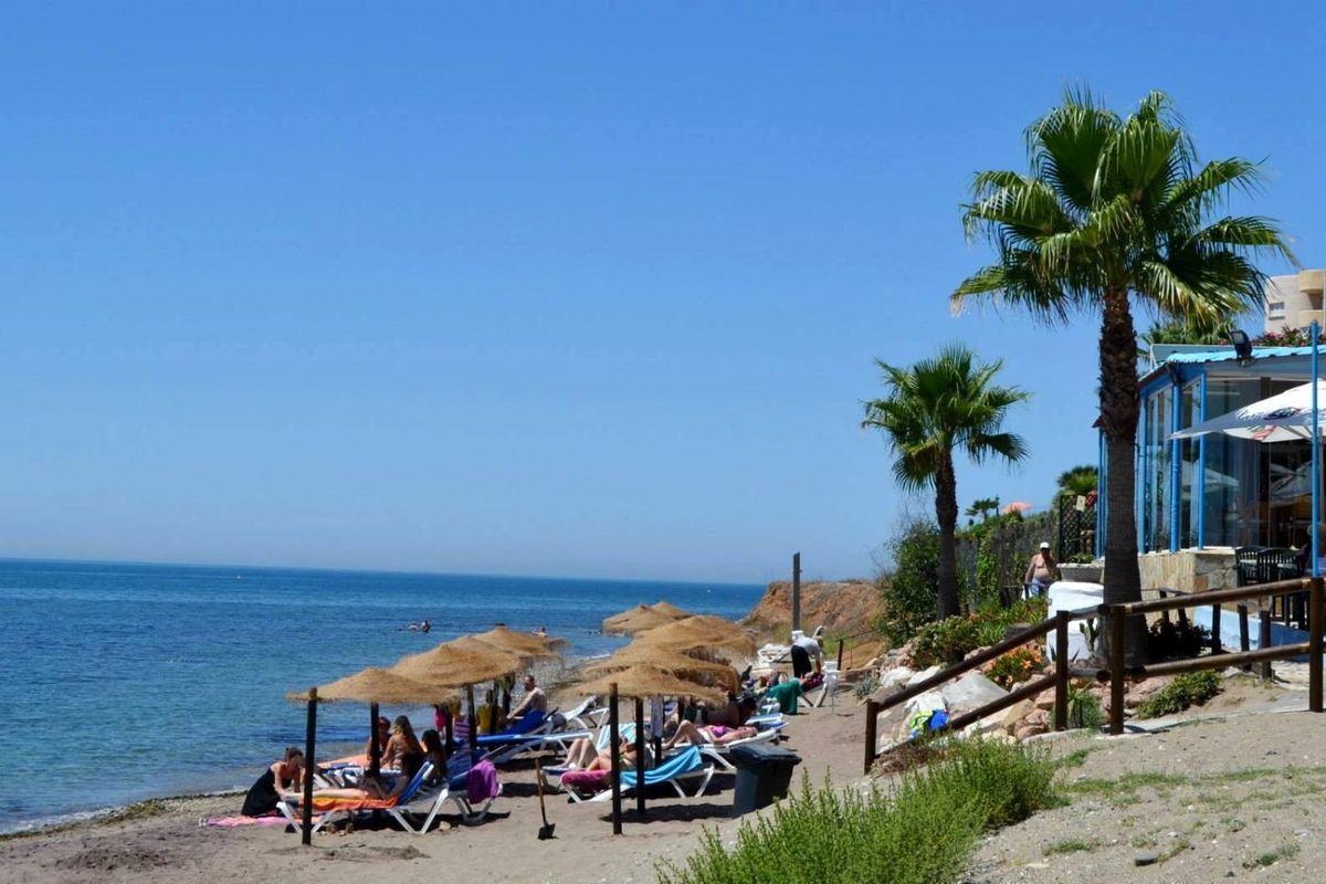 Strandscène in Mijas met ligstoelen en palmbomen, ideaal voor een ontspannende dag aan het strand.