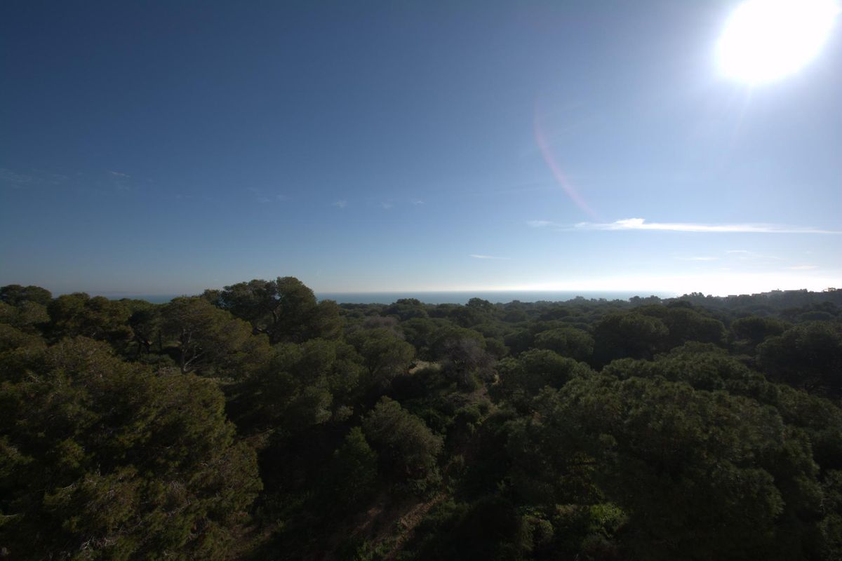 3-Bed Apartment Guardamar Sea Views - Image 14