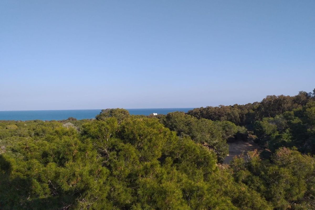 Schilderachtig uitzicht vanuit het appartement met groen en de kust nabij Guardamar del Segura.