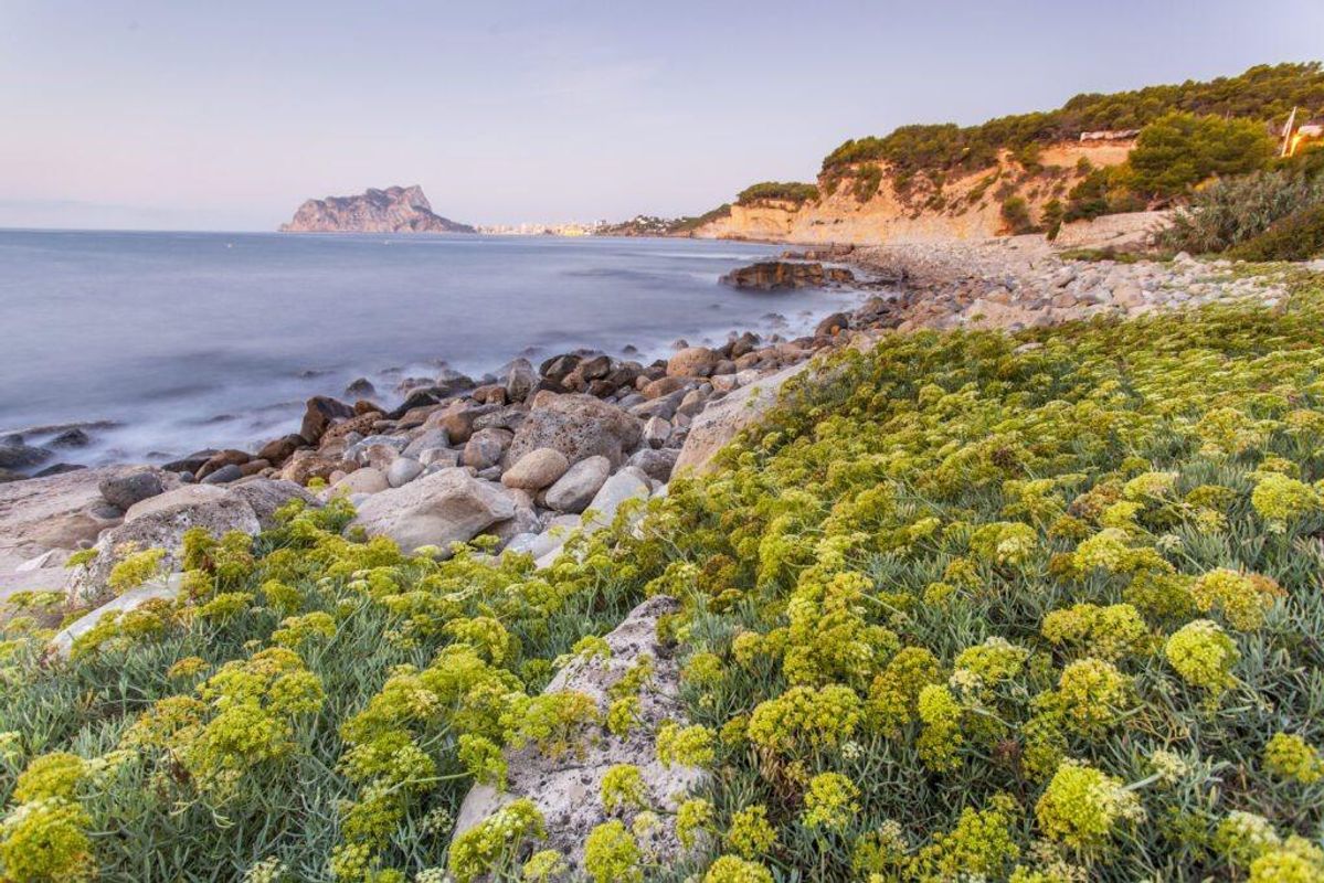 Schilderachtig uitzicht op het strand nabij Benissa met rotsachtige kustlijn en levendige flora.